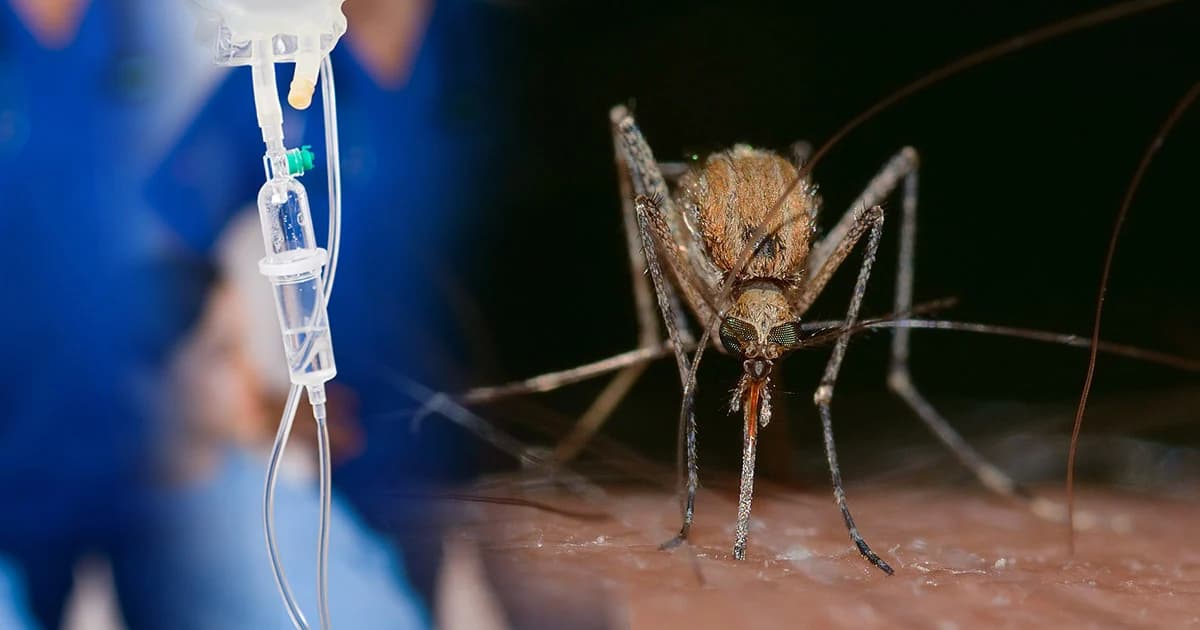 ‘ไข้เลือดออก’ ระบาด กทม.ป่วยแล้ว 6 พันราย เสียชีวิต 5 ราย