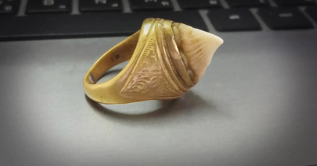 เตือนผู้มี ‘แหวนหัวกระเบน’ ต้องแจ้งครอบครองก่อนวันที่ 29 พ.ย.นี้