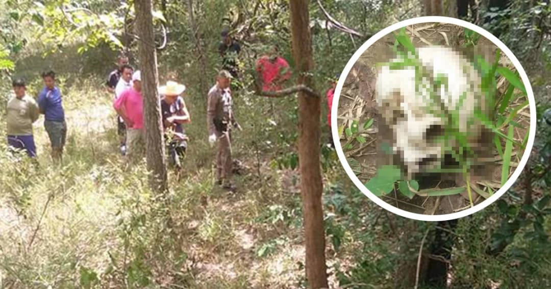 ผงะ ! เข้าป่าหาเห็ด เจอกะโหลกคน พร้อมเสื้อสาธารณสุข