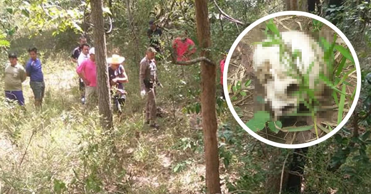 ผงะ ! เข้าป่าหาเห็ด เจอกะโหลกคน พร้อมเสื้อสาธารณสุข