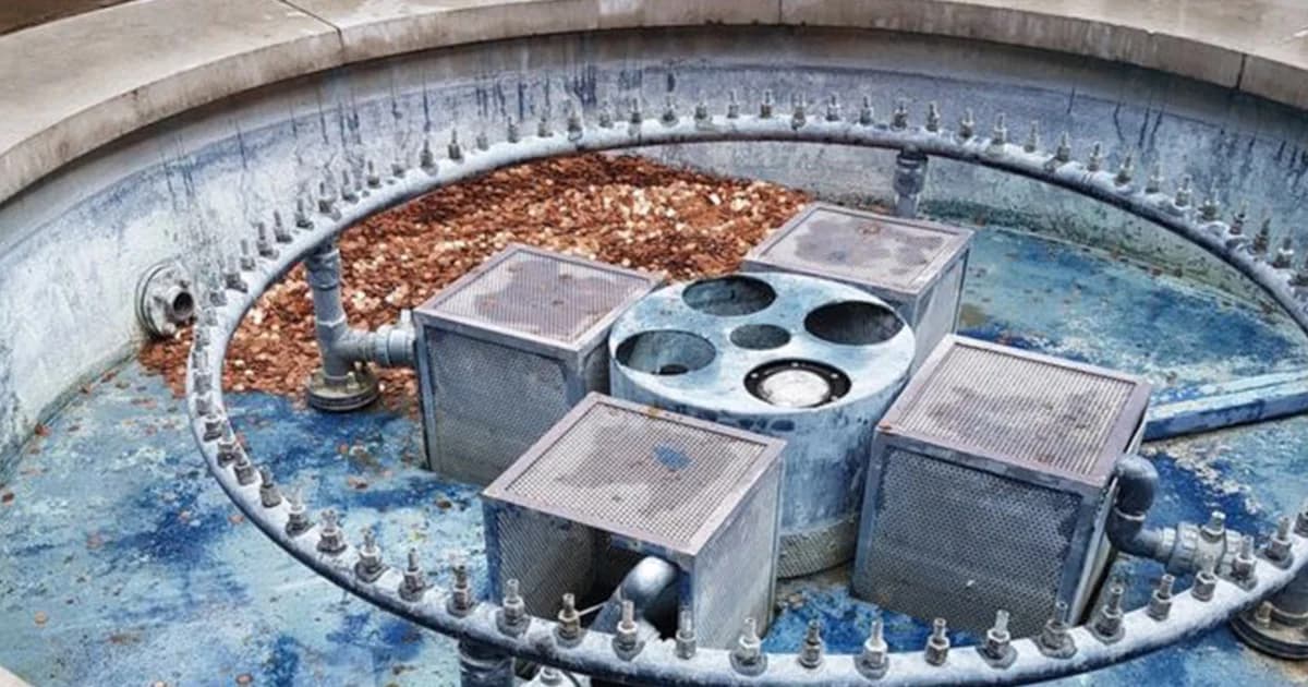 ศิลปินอังกฤษวางเหรียญเพนนี 1 แสนเหรียญ ในบ่อน้ำพุ เพื่อดูพฤติกรรมมนุษย์