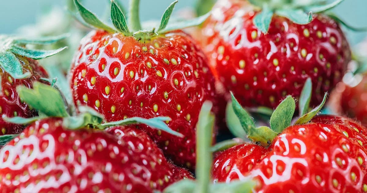 ออสเตรเลียจับคนร้ายฝังเข็มในสตรอว์เบอร์รีได้แล้ว เล็งเพิ่มโทษเทียบเท่าผู้ก่อการร้าย