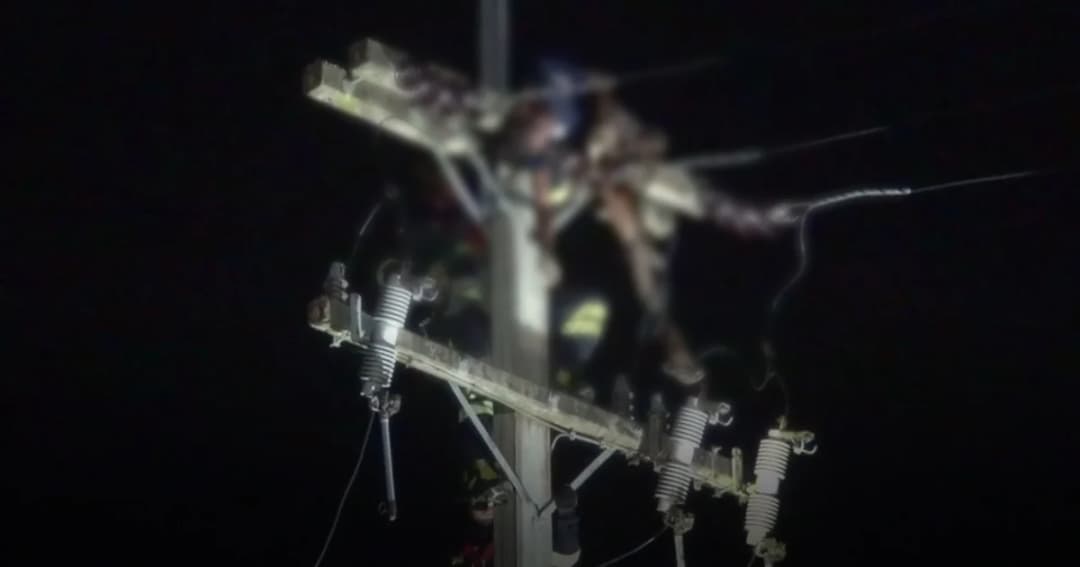 ไฟกว่า 2 หมื่นโวลต์ช็อตดับ! หนุ่มปีนเสาไฟฟ้าแรงสูงหวังขโมยหม้อแปลง