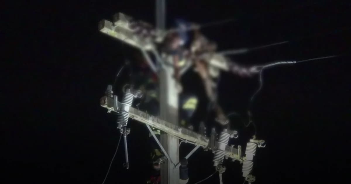 ไฟกว่า 2 หมื่นโวลต์ช็อตดับ! หนุ่มปีนเสาไฟฟ้าแรงสูงหวังขโมยหม้อแปลง