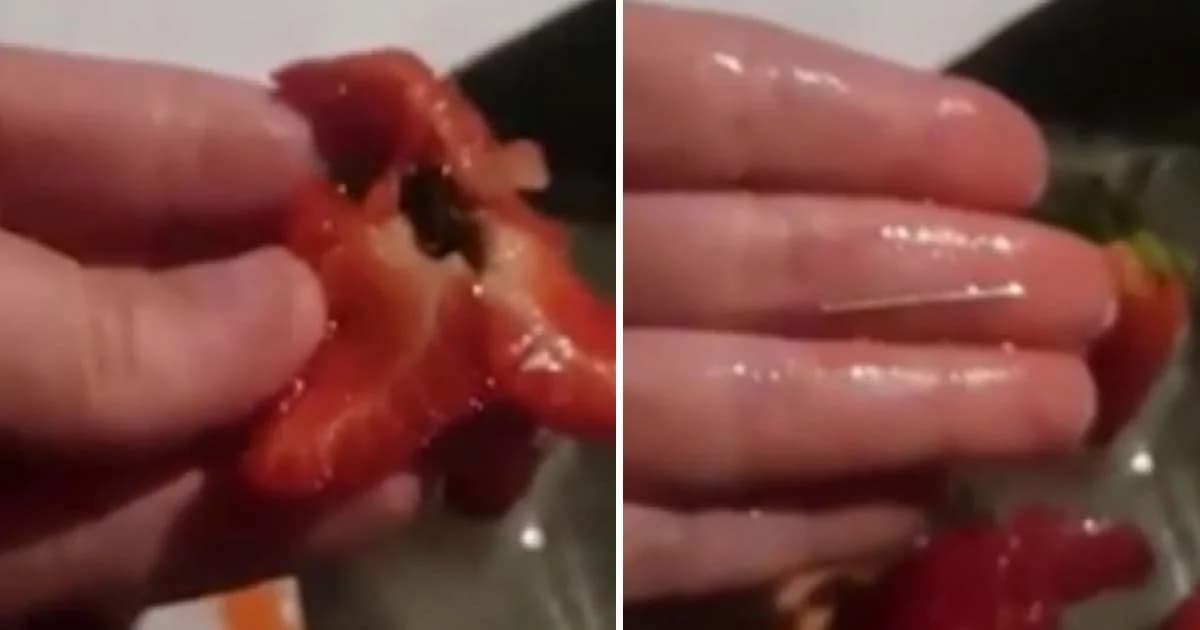 “สตรอว์เบอร์รี่ซ่อนเข็ม” ลามไปถึงนิวซีแลนด์ แนะผ่าทุกผลก่อนรับประทาน