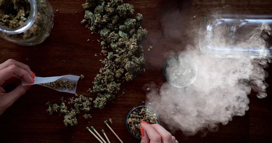 ล่า 20 รายชื่อไฟเขียวกฎหมาย ‘กัญชาเพื่อการแพทย์’