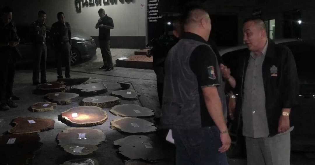 นนทบุรี “ศรีวราห์” ขยายผลจับกุมผู้ต้องสงสัยขนย้ายไม้หวงห้ามหลบหนี