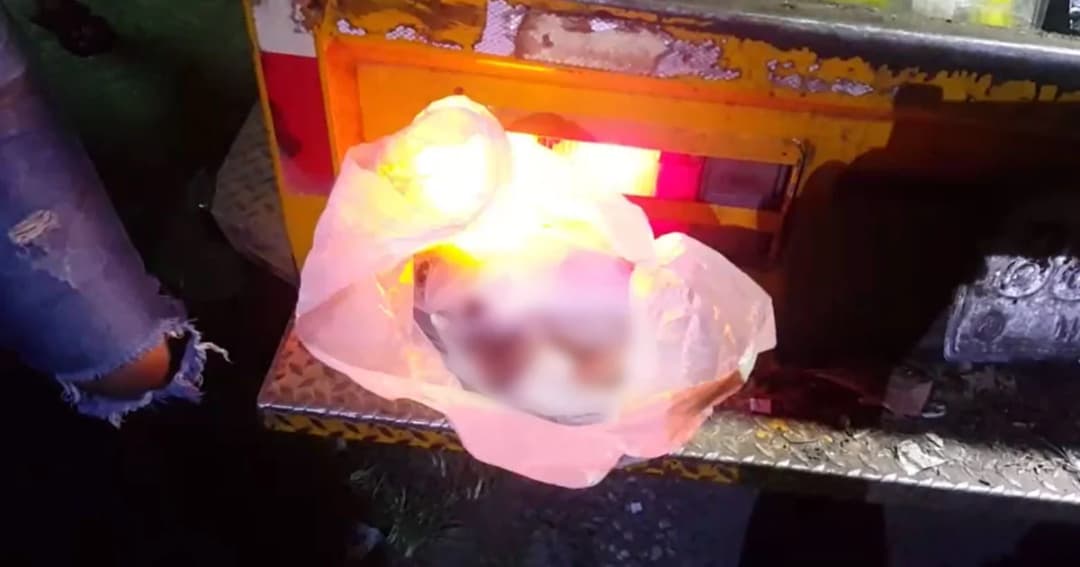 โคราช พบศพเด็กทารก 7 เดือนทิ้งลงถังขยะ คาดฝีมือแม่เด็กทำแท้งอำพรางศพ