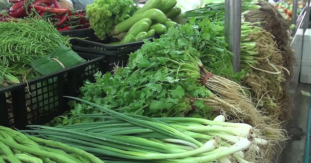 ราคาผักตลาดสงขลาพุ่งสูง รับเทศกาลกินเจ ซ้ำอากาศแปรปรวนทำผลผลิตน้อย