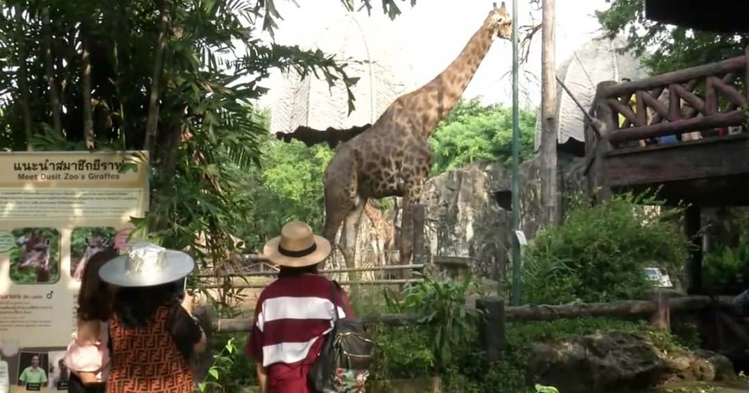 คนแห่เที่ยว “เขาดิน” ส่งท้ายก่อนปิดจริง 30 ก.ย.