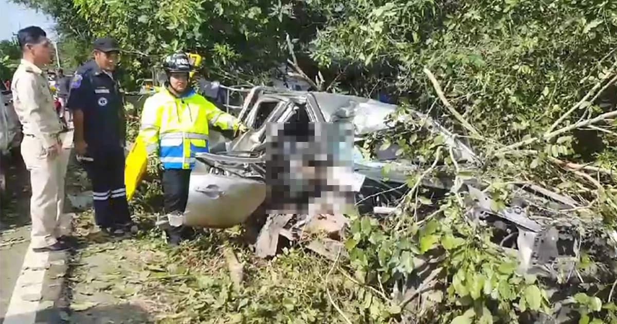 กระบะเสียหลัก ชนต้นไม้ข้างทาง คนขับดับคาที่