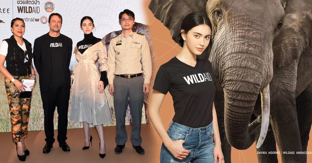 องค์กรไวล์ดเอดเปิดตัว “ใหม่” ดาวิกา เป็นทูตต่อต้านการค้างาช้างคนล่าสุด