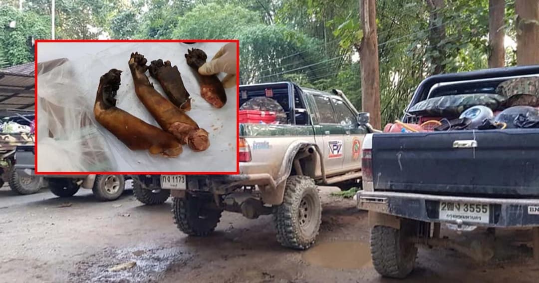 รวบแก๊งออฟโรดล่า “หมีขอ” ในอุทยานแห่งชาติ พบปลัดอำเภอร่วมก๊วนด้วย