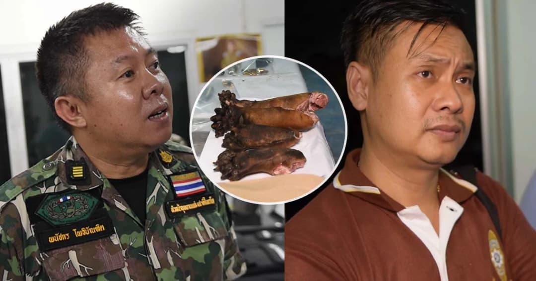 แก๊งออฟโรด อ้างซื้อ ‘อุ้งเท้าหมีขอ’ จากชาวบ้าน-อุทยานฯ ไทรโยค แจ้ง 9 ข้อหา