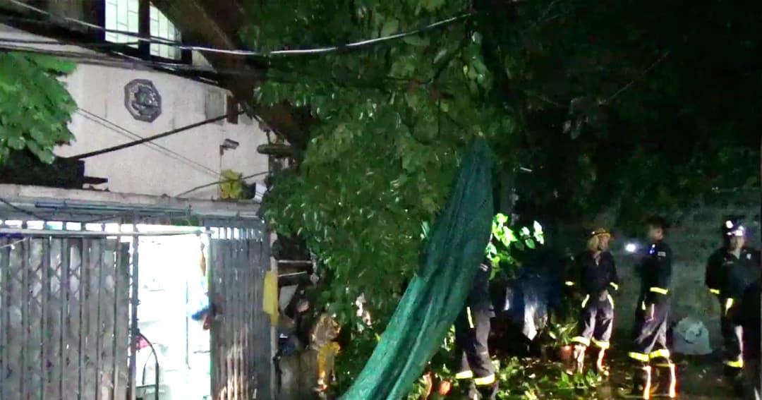 ฝนถล่มกลางดึก! กระแสลมพัดต้นไม้หักโค่นทับบ้าน ซ.สุขสวัสดิ์ พังเสียหาย