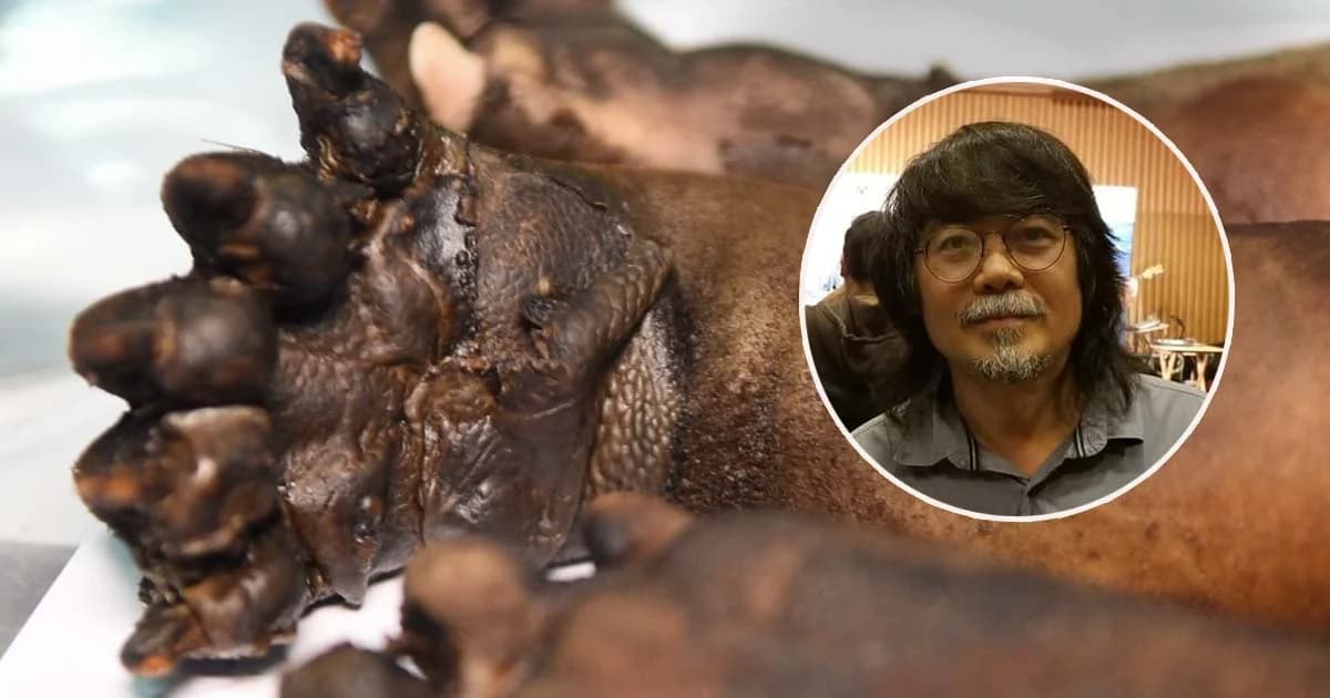 ‘ศศิน’ เชื่อแก๊งออฟโรดอ้างเข้าไปทำบุญ-ชี้สัตว์ป่ามีเฉพาะในเขตอุทยานฯ