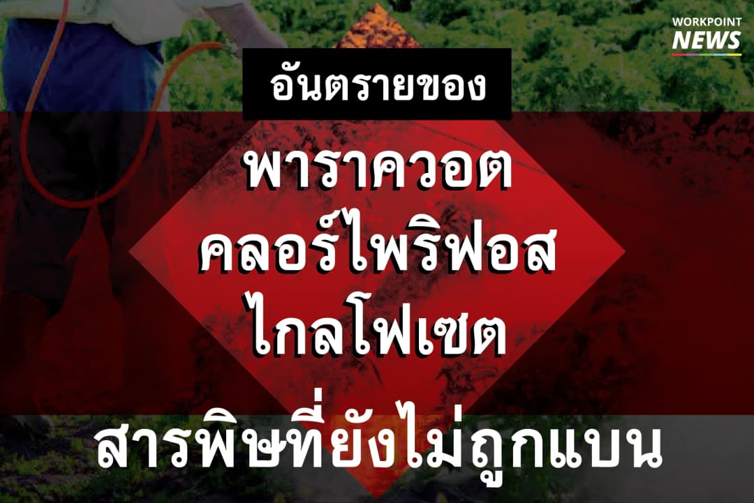 พาราควอต-คลอร์ไพริฟอส-ไกลโฟเซต สารอันตรายที่ยังไม่ถูกแบน