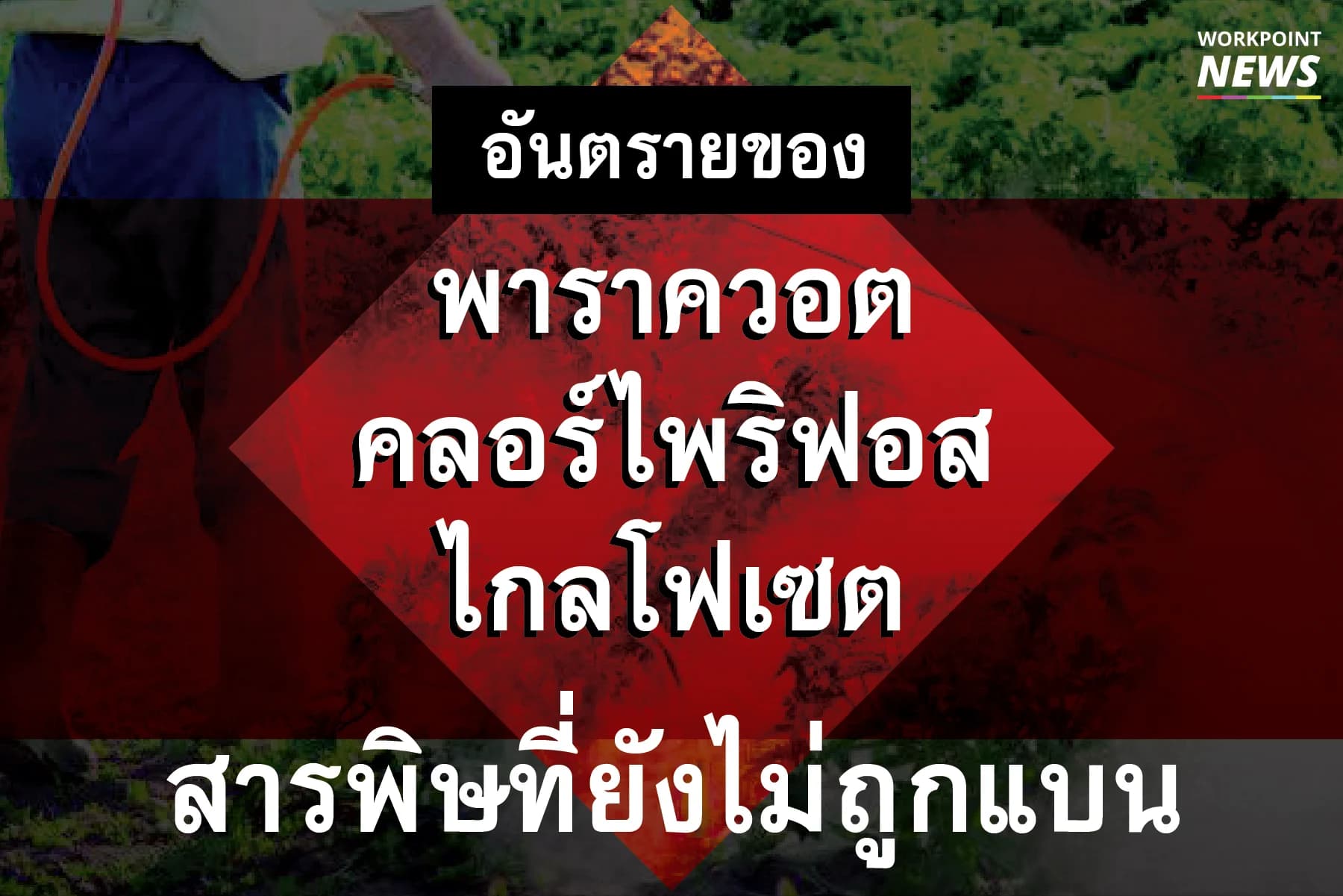 พาราควอต-คลอร์ไพริฟอส-ไกลโฟเซต สารอันตรายที่ยังไม่ถูกแบน