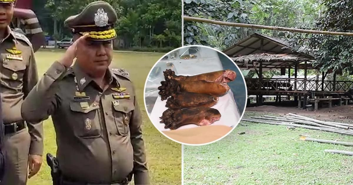 ศรีวราห์ ลั่นไม่เกิน 45 วัน สรุปคดีฆ่าหมีขอส่งอัยการ-เปิดประวัติสำนักสงฆ์เต่าดำ