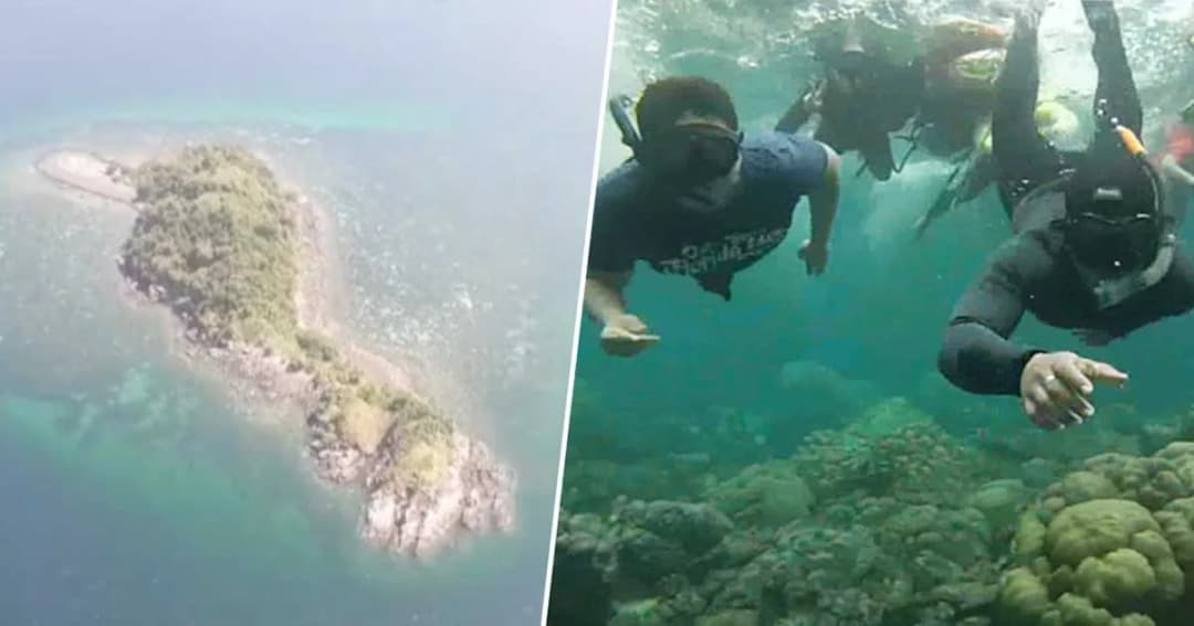 สตูลปลุกจิตอาสา 700 คน ลงเก็บขยะใต้ทะเลรับ “เปิดฟ้าอันดามัน” ครั้งที่ 17