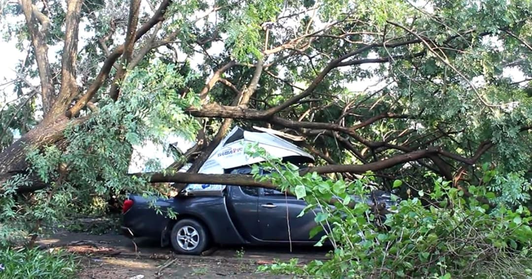 ปทุมฯ พายุถล่มหนัก ! ต้นไม้หักทับรถ-บ้านเรือน เสียหายยับ