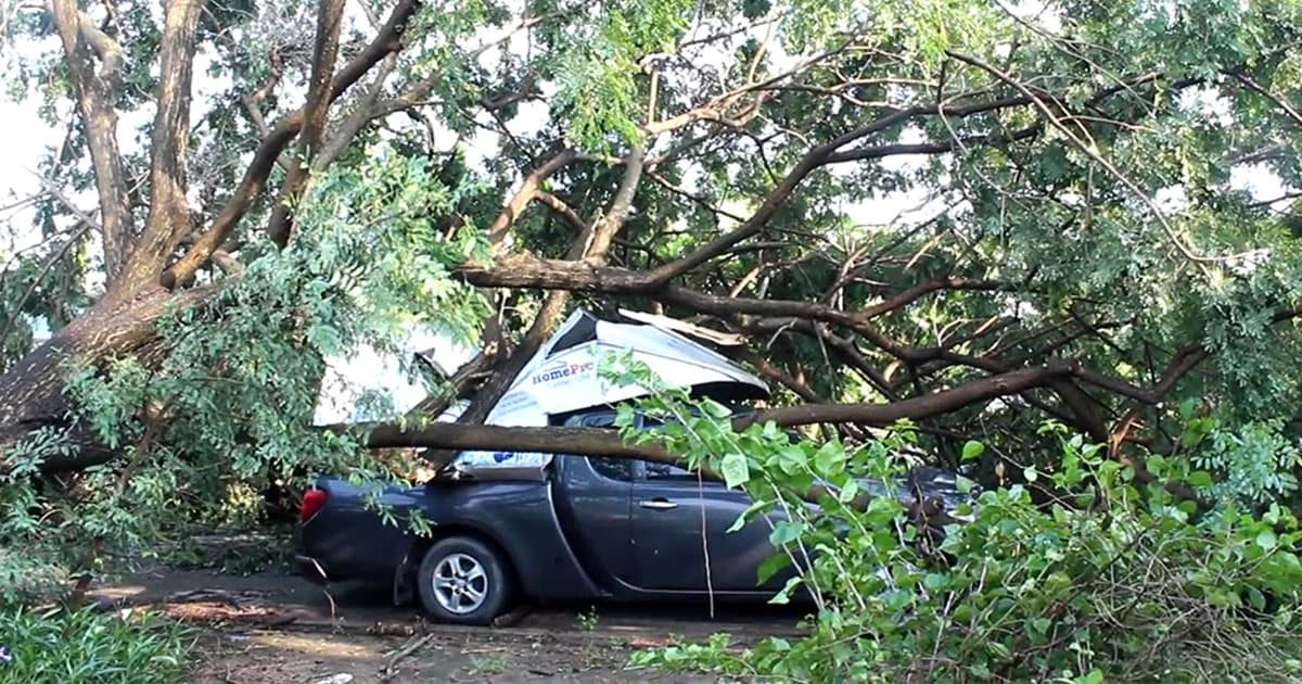 ปทุมฯ พายุถล่มหนัก ! ต้นไม้หักทับรถ-บ้านเรือน เสียหายยับ