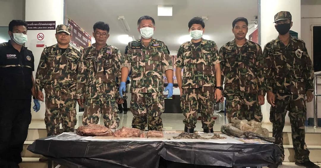 ทีมพญาเสือหาจนเจอ! “ซากหมีขอ” ซุกถุงปุ๋ยกลางป่าไทรโยค-มัดข้อหา ‘ล่าสัตว์ป่า’