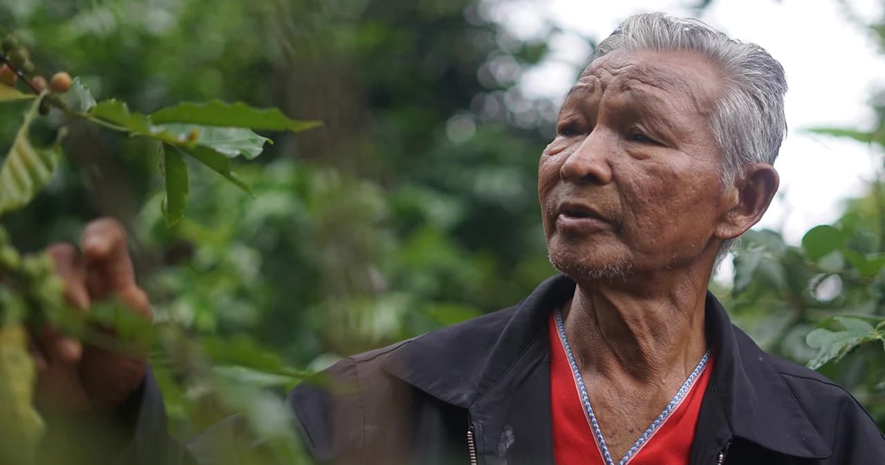 ปลูกกาแฟทดแทนฝิ่น คำจากพ่อเปลี่ยนชีวิต