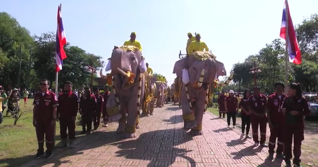ชาวอยุธยาจัดริ้วขบวนช้าง 9 เชือก น้อมรำลึกวันคล้ายวันสวรรคต ในหลวง ร. 9