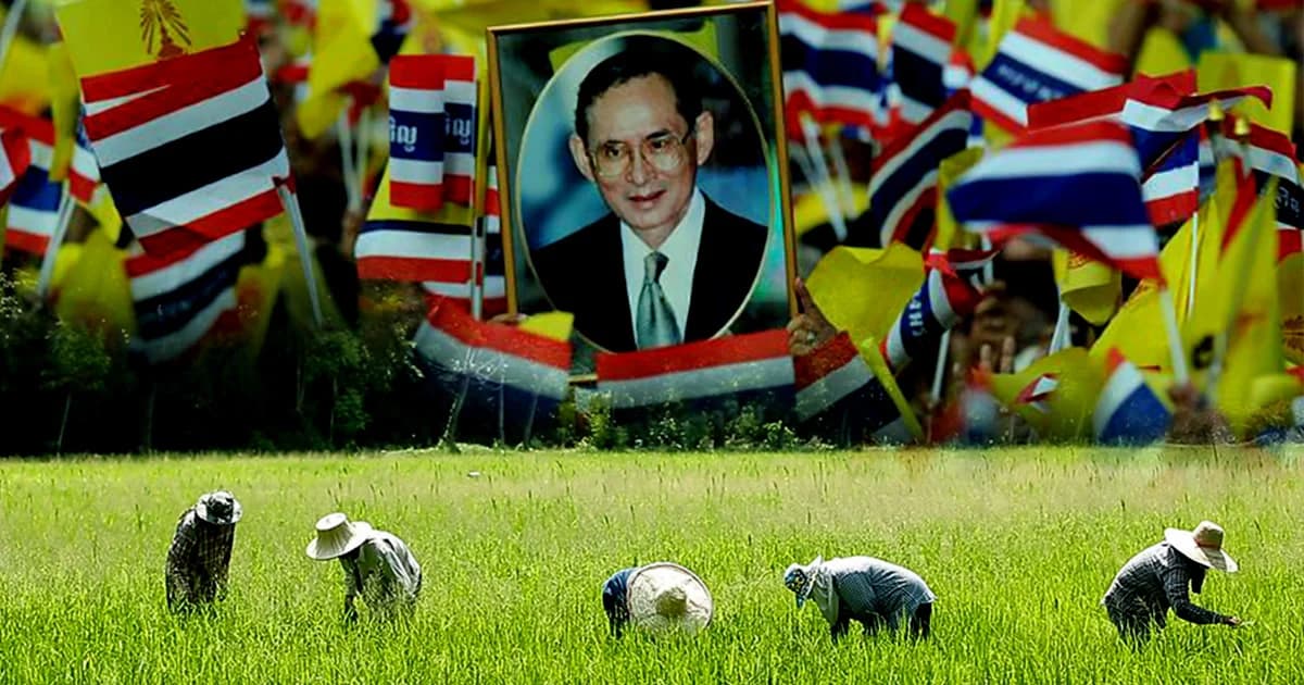 สืบสานศาสตร์พระราชา “โคก หนอง นา โมเดล” คืนความชุ่มชื้น ชื่นฉ่ำ ให้กับชีวิตเกษตรกรไทย