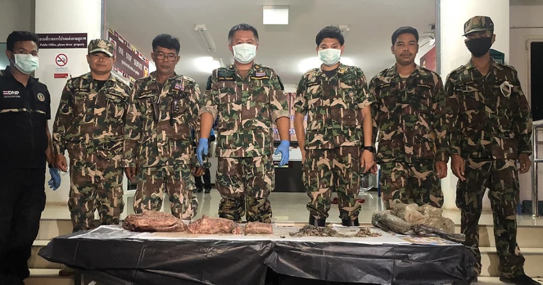 อุทยานฯ ไทรโยคเตรียมฟ้องแพ่งเรียกค่าชีวิต “หมีขอตาย”