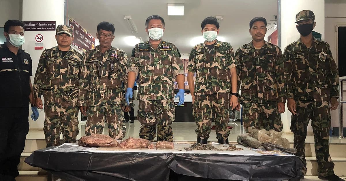 อุทยานฯ ไทรโยคเตรียมฟ้องแพ่งเรียกค่าชีวิต “หมีขอตาย”