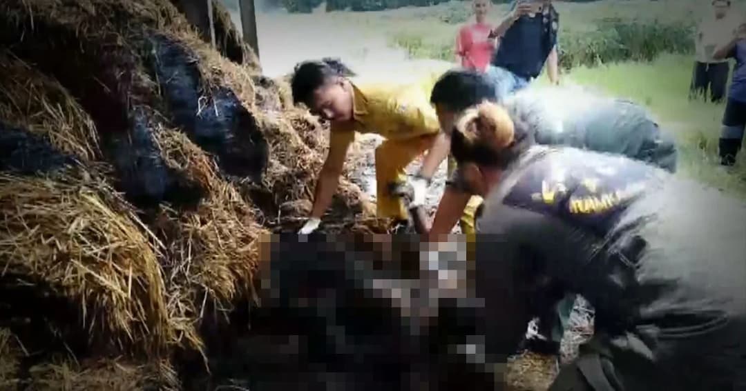 หนุ่มป่วยพาร์กินสันจุดบุหรี่ข้างโรงฟาง ไฟลุกพรึบย่างสดดับคากองเพลิง