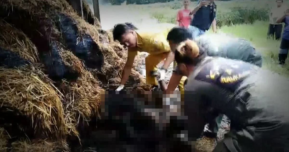 หนุ่มป่วยพาร์กินสันจุดบุหรี่ข้างโรงฟาง ไฟลุกพรึบย่างสดดับคากองเพลิง