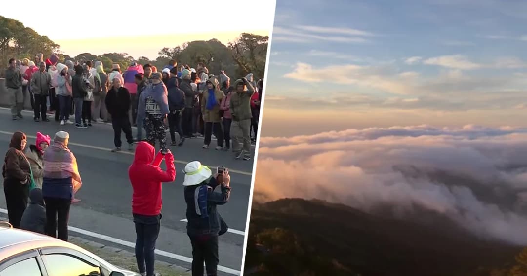 ทุบสถิติ! ดอยอินทนนท์นอกฤดูหนาว นทท. แห่เที่ยววันเดียวพุ่ง 7,255 คน