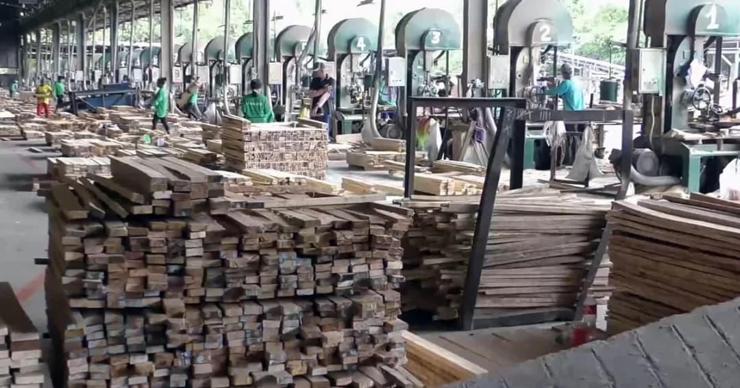 ตอบโต้จีน! งดส่งออกไม้ยางพาราแปรรูป หลังยกเลิกนำเข้าไม้แปรรูปจากไทย