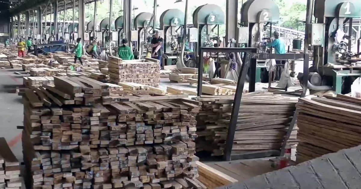 ตอบโต้จีน! งดส่งออกไม้ยางพาราแปรรูป หลังยกเลิกนำเข้าไม้แปรรูปจากไทย