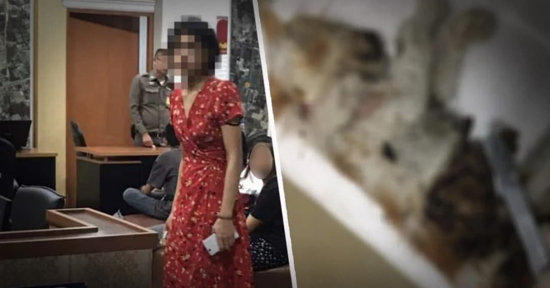 ตร.บุกบ้านสาวต้องสงสัย ก่อเหตุควักไส้แมว 27 ตัว ด้านเจ้าตัวยังปฏิเสธ