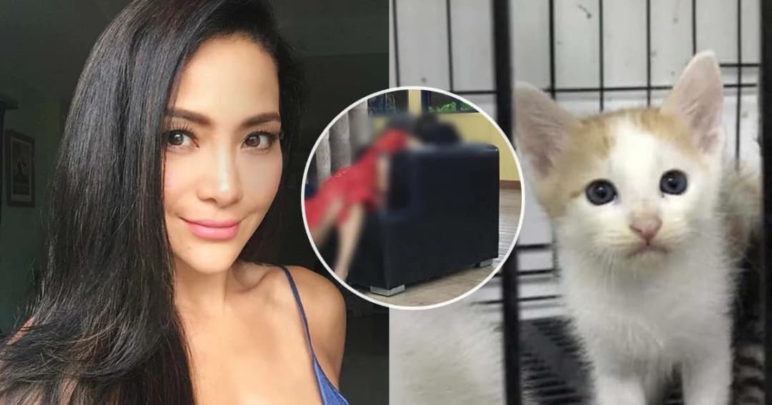 ตร.ยังไม่แจ้งข้อหาดีเจสาวต้องสงสัยทารุณแมว ‘โย ยศวดี’ โพสต์เดือดอย่าให้เรื่องเงียบ