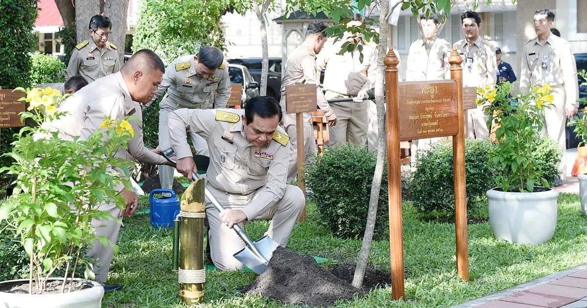 “บิ๊กตู่” ร่วมปลูกต้นพะยูง “วันรักต้นไม้” อารมณ์ดีจูงมือ “บิ๊กป้อม” ฮัมเพลง