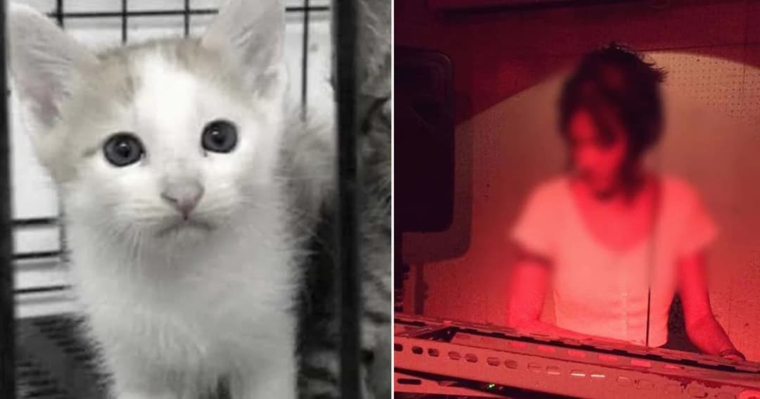 ดีเจสาว ยังเก็บตัวเงียบ- ‘เก๋ ชลลดา’ นำรวมพลคนรักแมวบุกสน.เพชรเกษม