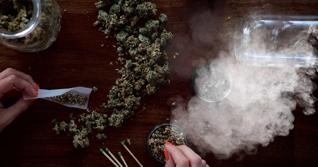 สนช. เตรียมเปิดเวทีรับฟังความเห็นปลดล็อก กัญชา – กระท่อม