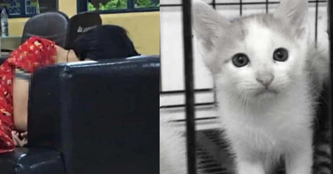 9 โมงวันนี้ ตร.ออกหมายเรียก “ดีเจซัน” รับทราบข้อหาทารุณสัตว์