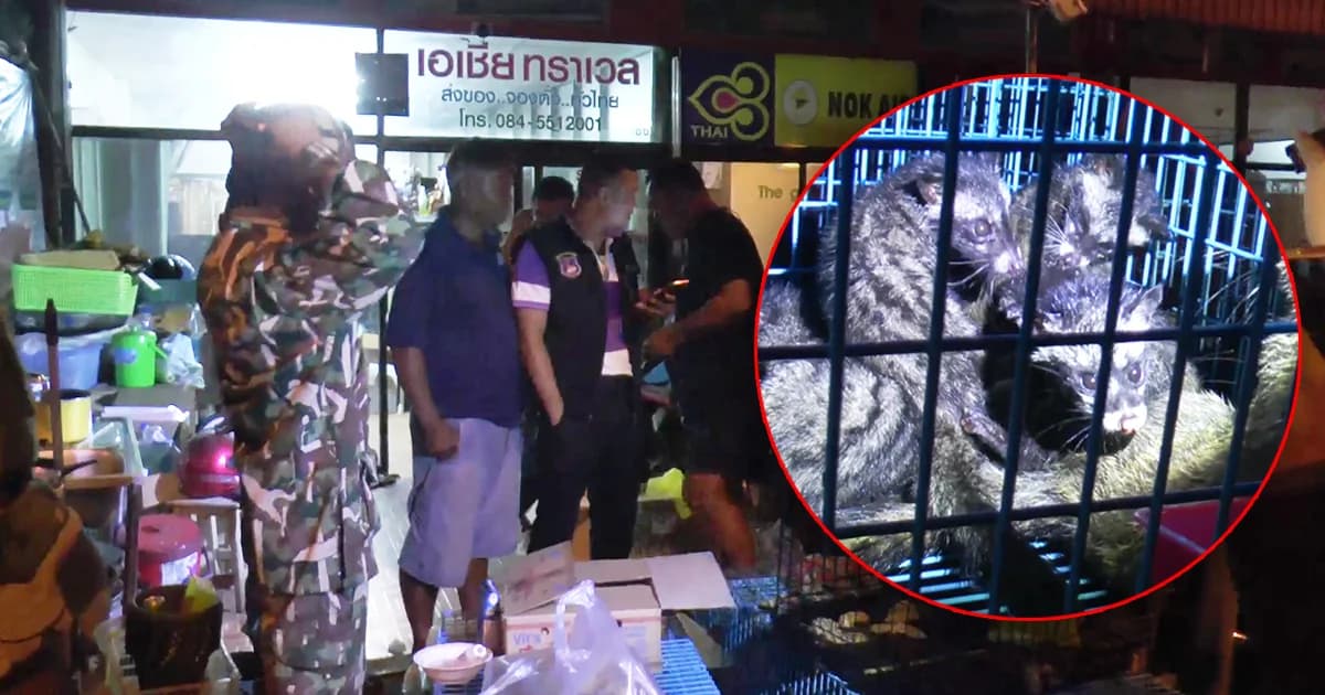 ทลายร้านขายตั๋วรถทัวร์ จ.พัทลุง ลอบค้าสัตว์ป่าคุ้มครองทางไลน์ ยึดของกลางเพียบ