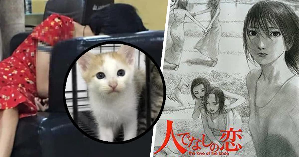 จ่อออกหมายจับ “ดีเจซัน” ตร.รวมหลักฐาน อึ้ง ! พบหนังสือทารุณสัตว์