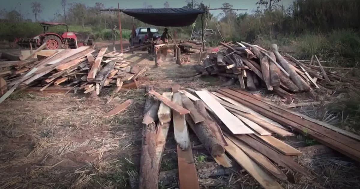 จนท.บุกบ้านต้องสงสัย ยึดไม้แปรรูปกว่า 100 แผ่น พร้อมอุปกรณ์การตัด