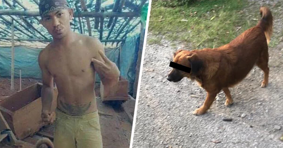 เปิดหลักฐานเด็ด มัด “บอม หลบมุม” ข่มขืนหมา วอทช์ด็อกยัน แจ้งข้อหาทารุณแล้ว