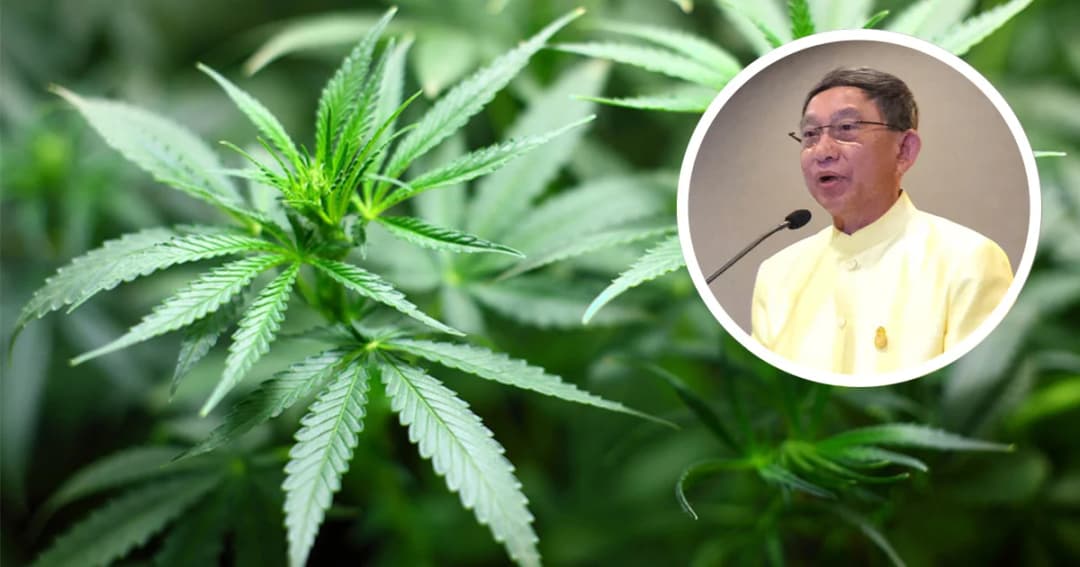 พ.ร.บ.ปลดล็อกกัญชา ใช้ประโยชน์ทางการแพทย์ เข้า ครม. 13 พ.ย. นี้