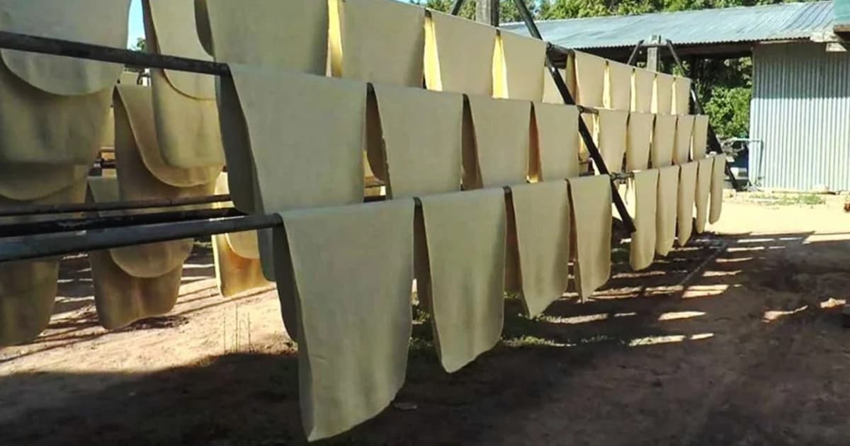 ไล่ออก! ผจก.ชุมนุมสหกรณ์ตรัง ยักยอกขายยางนาน 5 ปี มูลค่ากว่า 300 ล้าน