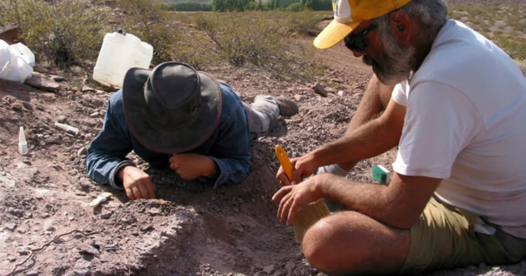 นักบรรพชีวินวิทยา ค้นพบฟอสซิลซอโรพอดสายพันธ์ุใหม่